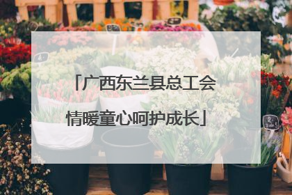 广西东兰县总工会情暖童心呵护成长