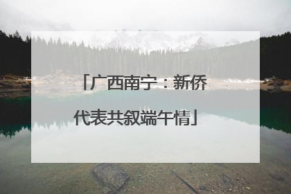 广西南宁：新侨代表共叙端午情