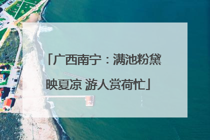 广西南宁：满池粉黛映夏凉 游人赏荷忙