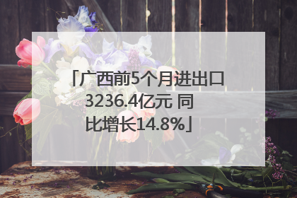 广西前5个月进出口3236.4亿元 同比增长14.8%