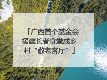 广西首个基金会援建长者食堂成乡村“敬老客厅”