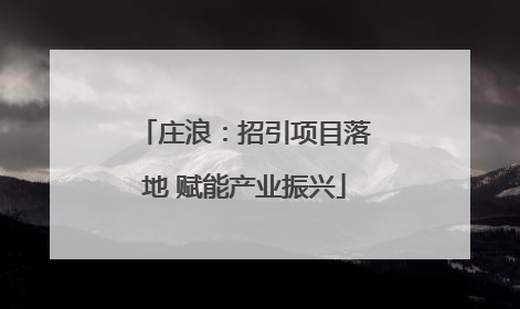 庄浪：招引项目落地 赋能产业振兴