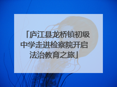 庐江县龙桥镇初级中学走进检察院开启法治教育之旅