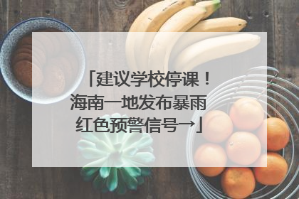 建议学校停课！海南一地发布暴雨红色预警信号→
