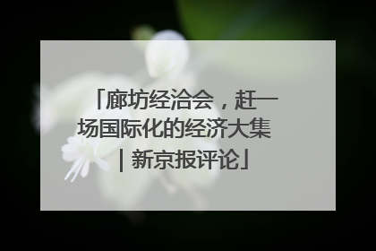 廊坊经洽会，赶一场国际化的经济大集｜新京报评论