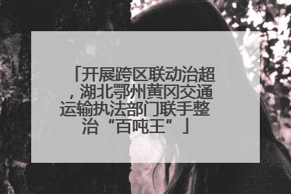 开展跨区联动治超，湖北鄂州黄冈交通运输执法部门联手整治“百吨王”