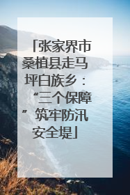 张家界市桑植县走马坪白族乡：“三个保障”筑牢防汛安全堤