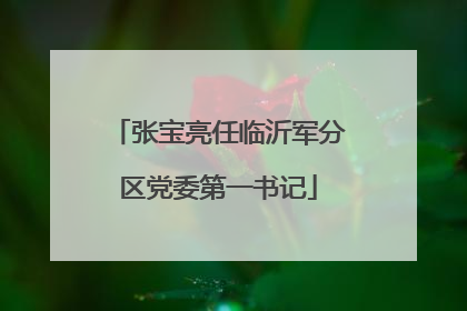 张宝亮任临沂军分区党委第一书记