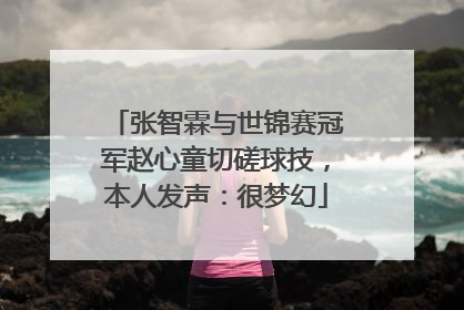 张智霖与世锦赛冠军赵心童切磋球技，本人发声：很梦幻