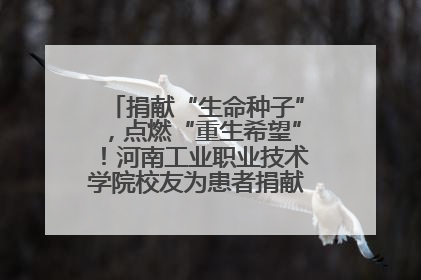 捐献“生命种子”，点燃“重生希望”！河南工业职业技术学院校友为患者捐献造血干细胞