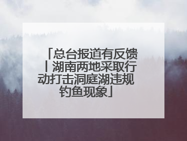 总台报道有反馈丨湖南两地采取行动打击洞庭湖违规钓鱼现象