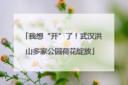 我想“开”了！武汉洪山多家公园荷花绽放