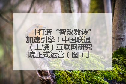 打造“智改数转”加速引擎！中国联通（上饶）互联网研究院正式运营（图）
