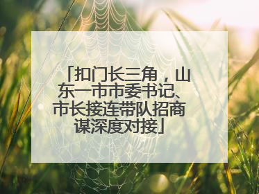 扣门长三角，山东一市市委书记、市长接连带队招商谋深度对接