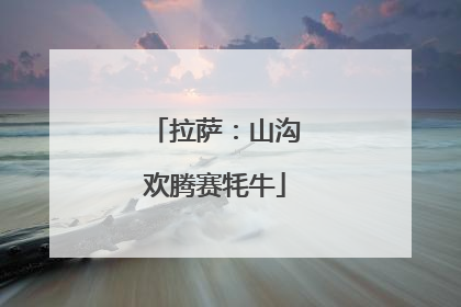 拉萨：山沟欢腾赛牦牛