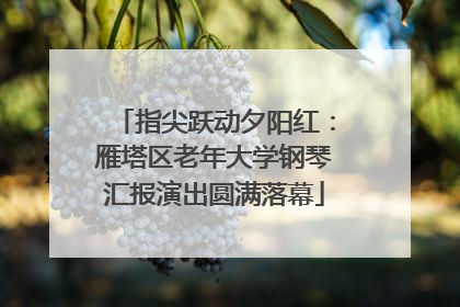 指尖跃动夕阳红：雁塔区老年大学钢琴汇报演出圆满落幕