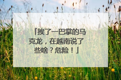 挨了一巴掌的马克龙，在越南说了些啥？危险！
