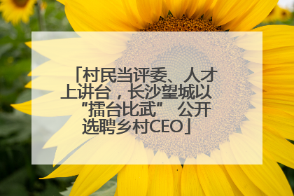 村民当评委、人才上讲台，长沙望城以“擂台比武” 公开选聘乡村CEO