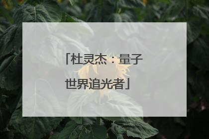 杜灵杰：量子世界追光者