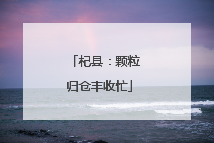 杞县：颗粒归仓丰收忙