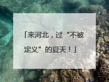 来河北，过“不被定义”的夏天！