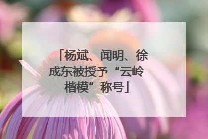 杨斌、闻明、徐成东被授予“云岭楷模”称号