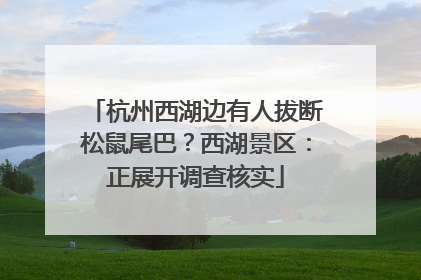 杭州西湖边有人拔断松鼠尾巴？西湖景区：正展开调查核实