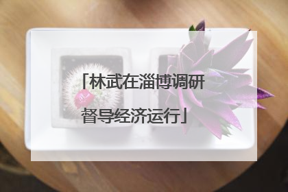 林武在淄博调研督导经济运行