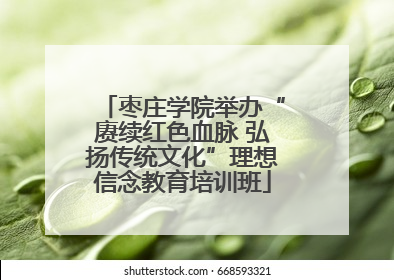 枣庄学院举办“赓续红色血脉 弘扬传统文化”理想信念教育培训班