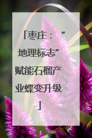枣庄：“地理标志”赋能石榴产业蝶变升级