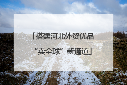 搭建河北外贸优品“卖全球”新通道