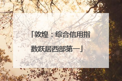 敦煌：综合信用指数跃居西部第一