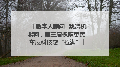 数字人顾问+跳舞机器狗，第三届槐荫惠民车展科技感“拉满”