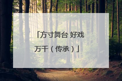 方寸舞台 好戏万千（传承）