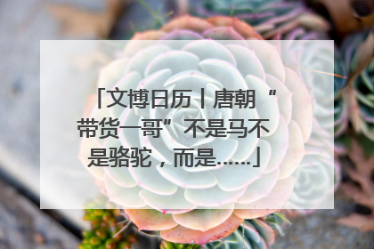 文博日历丨唐朝“带货一哥”不是马不是骆驼，而是……