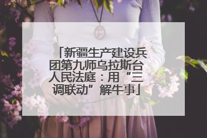 新疆生产建设兵团第九师乌拉斯台人民法庭：用“三调联动”解牛事