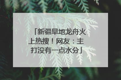 新疆旱地龙舟火上热搜！网友：主打没有一点水分