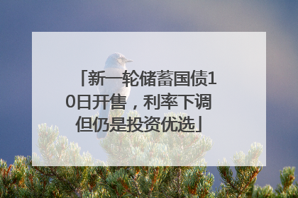 新一轮储蓄国债10日开售，利率下调但仍是投资优选