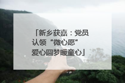 新乡获嘉：党员认领“微心愿” 爱心圆梦暖童心