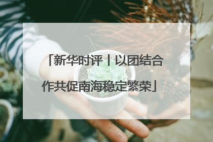 新华时评丨以团结合作共促南海稳定繁荣