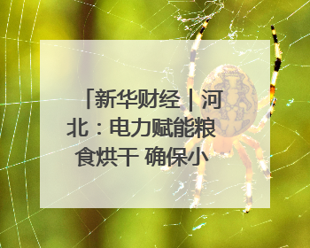 新华财经｜河北：电力赋能粮食烘干 确保小麦高质量归仓