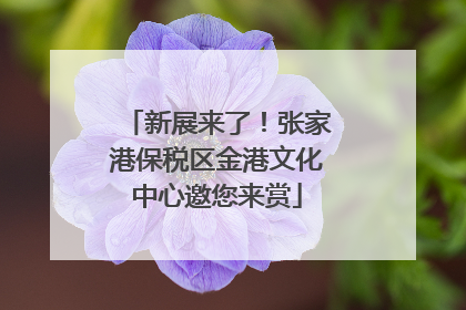 新展来了！张家港保税区金港文化中心邀您来赏