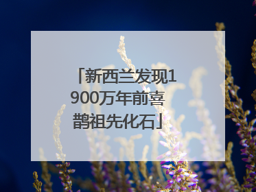 新西兰发现1900万年前喜鹊祖先化石