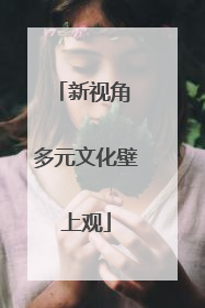 新视角 多元文化壁上观