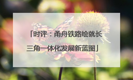时评：甬舟铁路绘就长三角一体化发展新蓝图