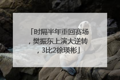 时隔半年重回赛场，樊振东上演大逆转，3比2徐瑛彬