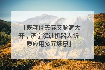 既翱翔天际又脑洞大开，济宁解锁机器人新质应用多元场景