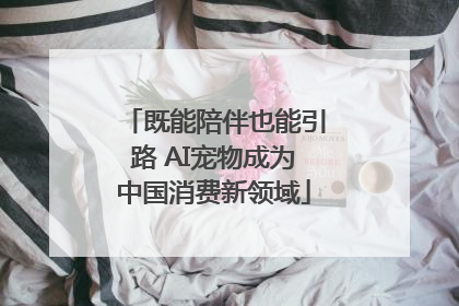既能陪伴也能引路 AI宠物成为中国消费新领域
