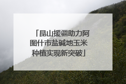 昆山援疆助力阿图什市盐碱地玉米种植实现新突破