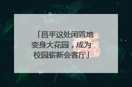 昌平这处闲置地变身大花园，成为校园崭新会客厅